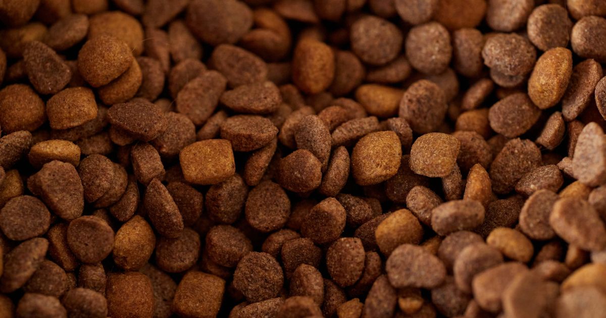 jak-poznat-zkazene-granule (2)